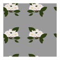Seamless Pattern With White Flowers And Leaves In Apple Blossoms